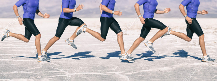 What Is Biomechanics?